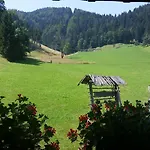 Brunarica Zatrnik Pokljuka