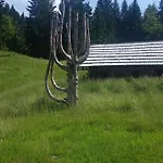 Lägenhet Brunarica Zatrnik Pokljuka