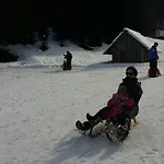 Brunarica Zatrnik Pokljuka Bled