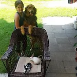 Brunarica Zatrnik Pokljuka Bled