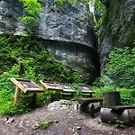 Lägenhet Brunarica Zatrnik Pokljuka *