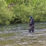 Lägenhet Brunarica Zatrnik Pokljuka *