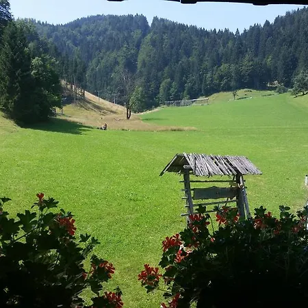 Brunarica Zatrnik Pokljuka