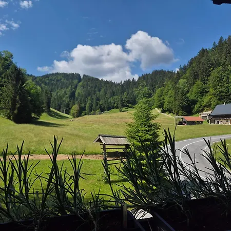 Brunarica Zatrnik Pokljuka Bled