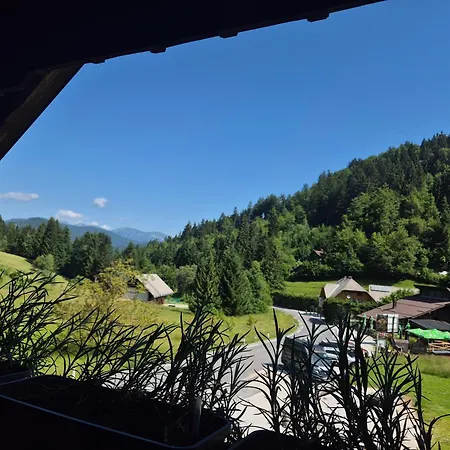 Brunarica Zatrnik Pokljuka Apartman