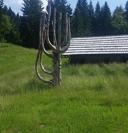 아파트 Brunarica Zatrnik Pokljuka