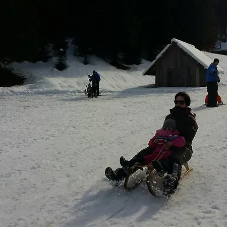 Brunarica Zatrnik Pokljuka Bled