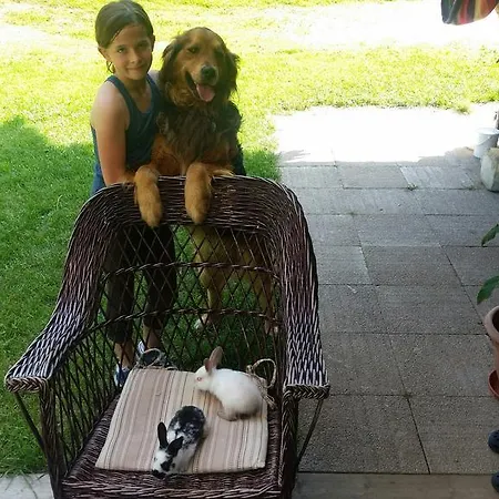 Brunarica Zatrnik Pokljuka Bled