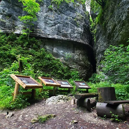 Lägenhet Brunarica Zatrnik Pokljuka *
