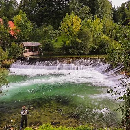 Brunarica Zatrnik Pokljuka