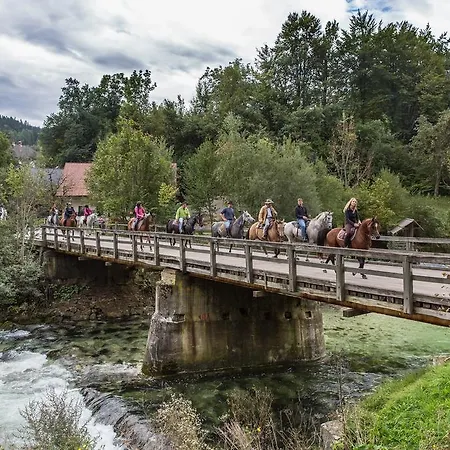 Apartmán Brunarica Zatrnik Pokljuka *