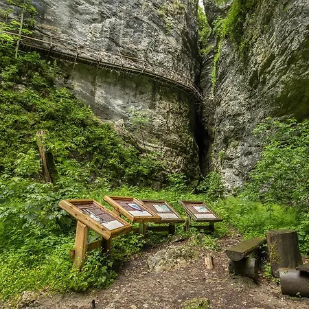 Lägenhet Brunarica Zatrnik Pokljuka *