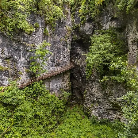 Lägenhet Brunarica Zatrnik Pokljuka Bled