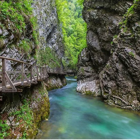 Brunarica Zatrnik Pokljuka Bled