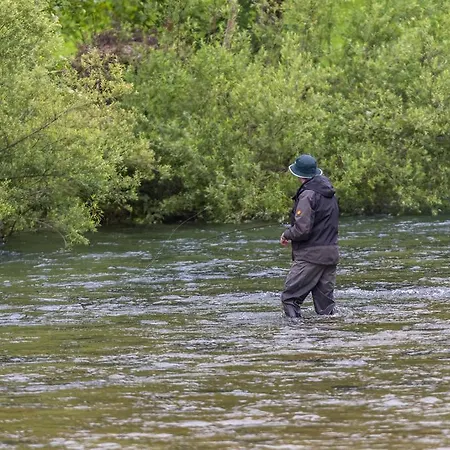Lägenhet Brunarica Zatrnik Pokljuka *