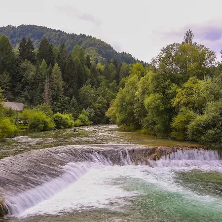 Brunarica Zatrnik Pokljuka