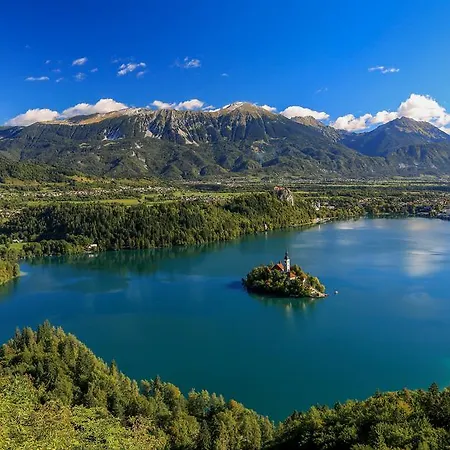 Lägenhet Brunarica Zatrnik Pokljuka *