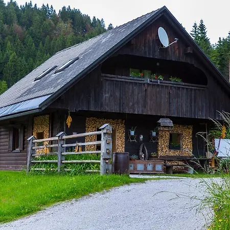Brunarica Zatrnik Pokljuka Bled