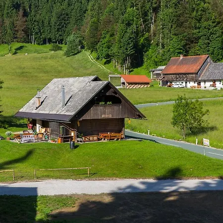 Brunarica Zatrnik Pokljuka Bled