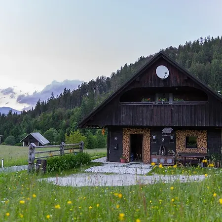 Brunarica Zatrnik Pokljuka Bled