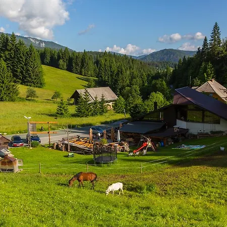 Apartmán Brunarica Zatrnik Pokljuka Bled