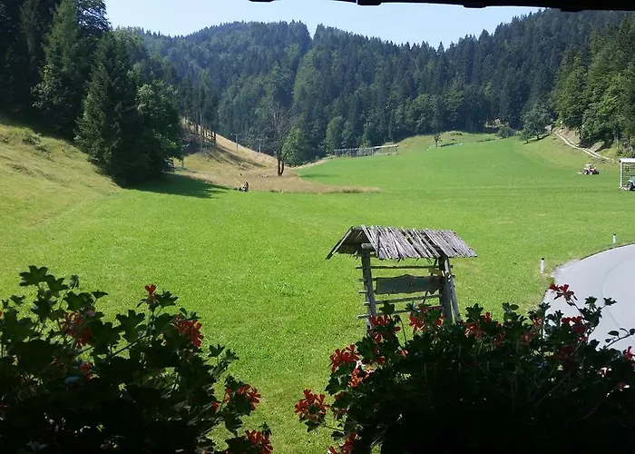 Brunarica Zatrnik Pokljuka