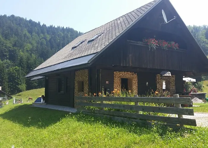 Brunarica Zatrnik Pokljuka Apartment *