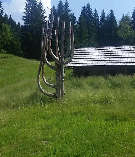 Apartment Brunarica Zatrnik Pokljuka