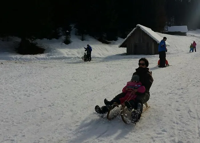 Brunarica Zatrnik Pokljuka בלד