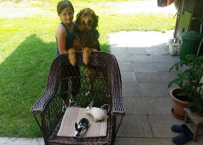 Brunarica Zatrnik Pokljuka Bled