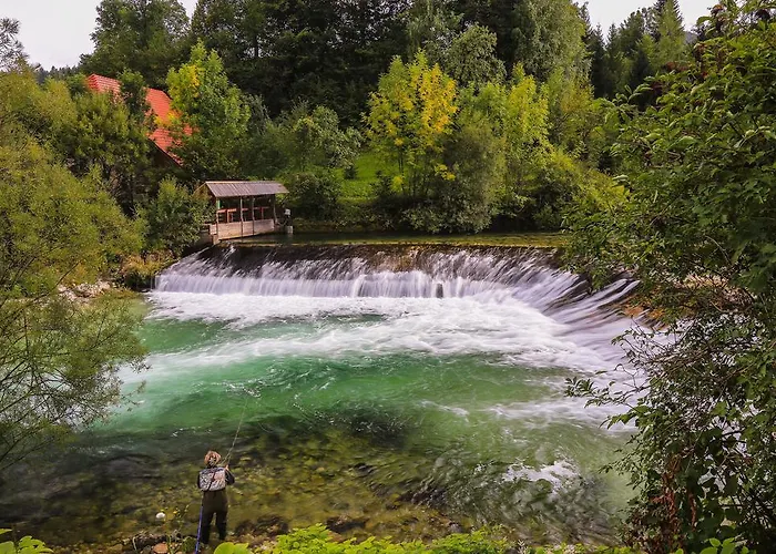 Brunarica Zatrnik Pokljuka