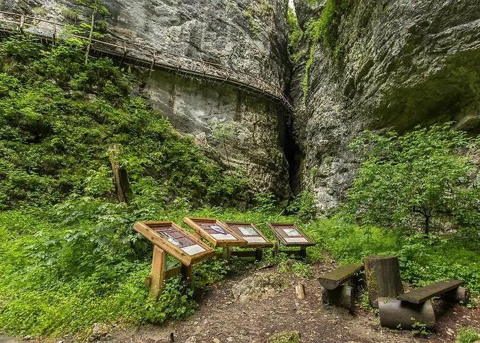 Apartment Brunarica Zatrnik Pokljuka *