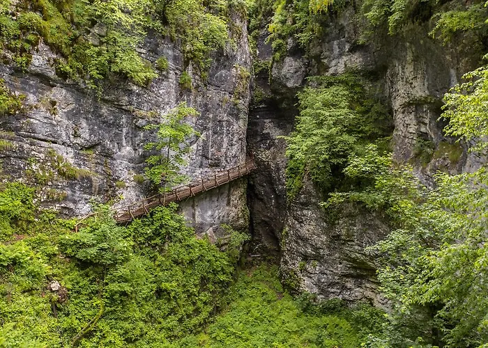 Apartment Brunarica Zatrnik Pokljuka Bled