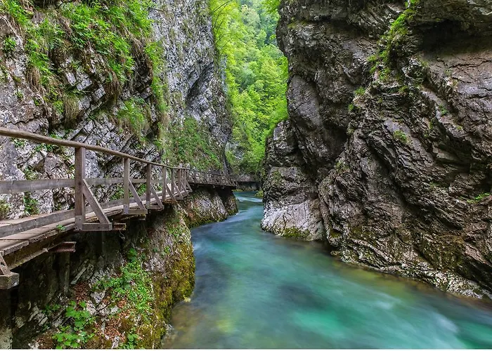 Brunarica Zatrnik Pokljuka Bled