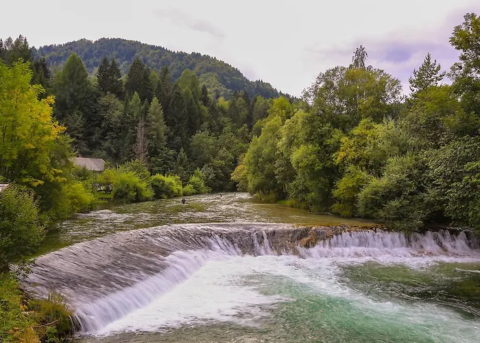 Brunarica Zatrnik Pokljuka