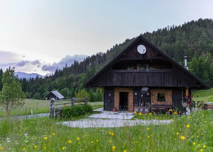 Brunarica Zatrnik Pokljuka Bled